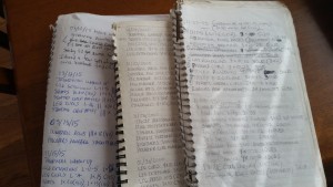 These are my personal workout logs dating back to 1995. I have logs going back as far as 1989.